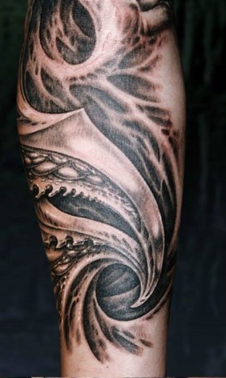  Guy Aitchison.  2