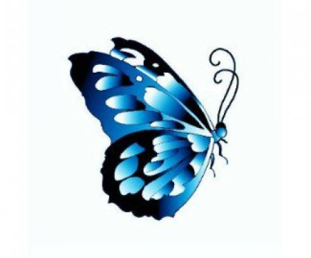 ������ tribal. ����� 6