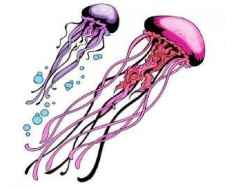 ������ ������. ����� 12