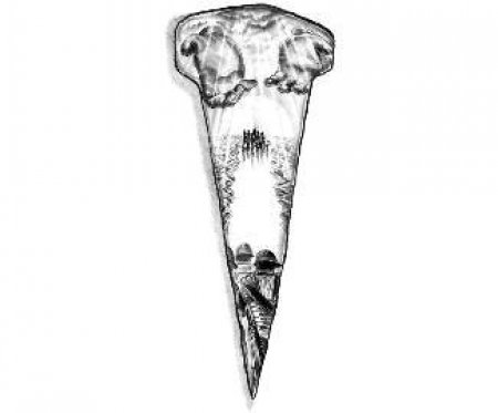 ������ ��������. ����� 1