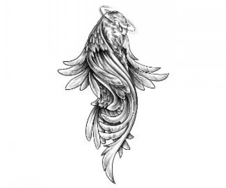 ������ ��������. ����� 2