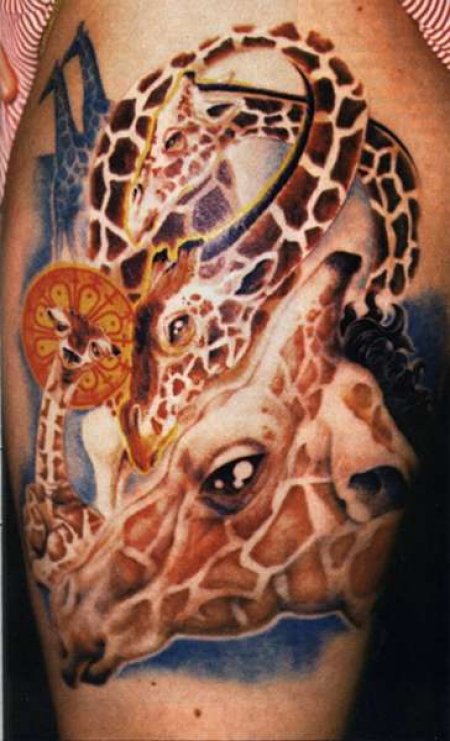 ���������� �� ����. ����� 3