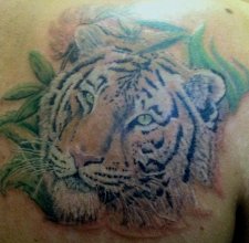     Tattoo House